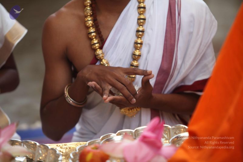 File:20101102 Photo 1061 1RByX3ea0IzEV-4imMl8MYeDyA-8sU0su.JPG