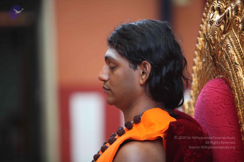 File:20101102 Photo 1066 1FWLJmroEyuNG2poWP2o8-k7CP7SzjaDe.JPG