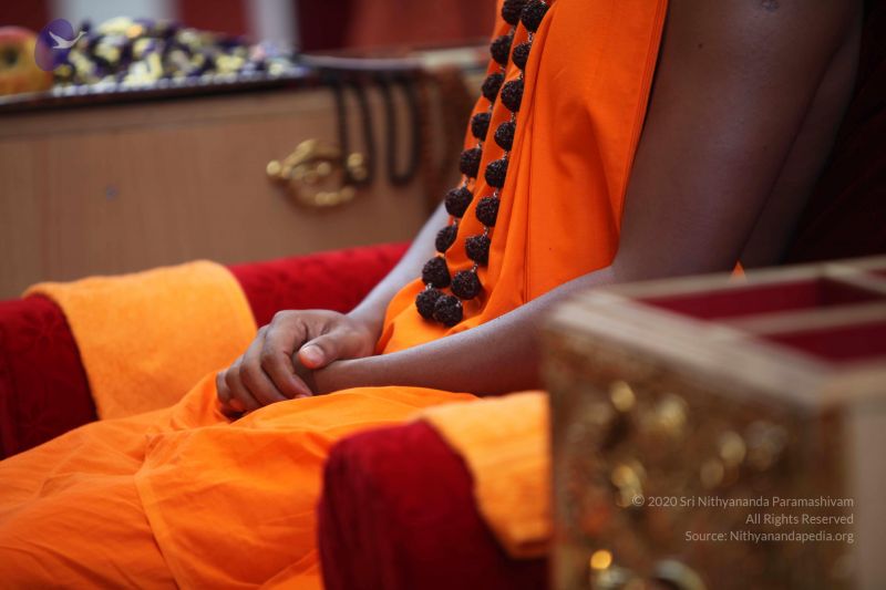 File:20101102 Photo 1071 1byyDerPl28jS3fIIUhrnARe3THlt9DVb.JPG