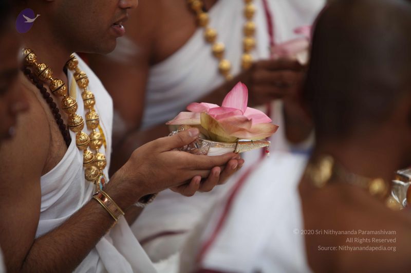 File:20101102 Photo 1084 17nwmQqhuzq0HAulAmk6EyHbtq6JITPis.JPG