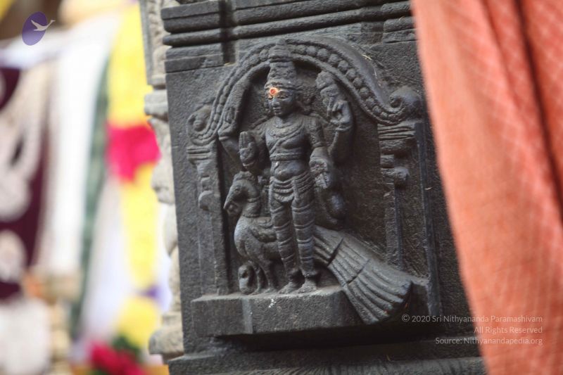 File:20101102 Photo 1119 10qAuZocOjNIX taNAvuQ MxhpMb6 2iL.JPG