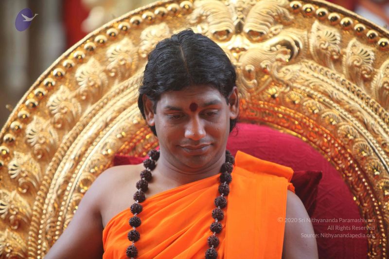 File:20101102 Photo 1162 14GCj2Y-7k j9mWtkpZK0w491p-u7B-xT.JPG