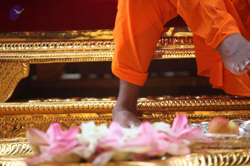 File:20101102 Photo 1168 1OG6F1cK66XMRAyFqAGmAxcJACZQZXdnf.JPG