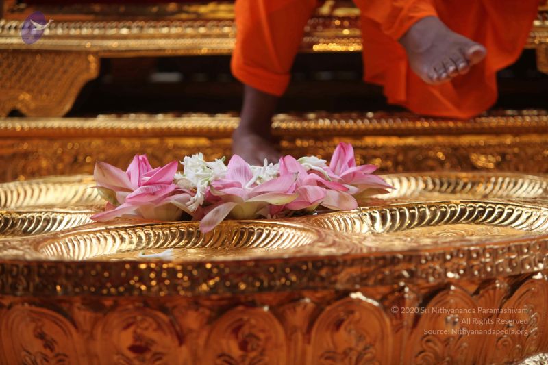 File:20101102 Photo 1169 1Vm- RhF9sk-g4sabR71FrUI4TxbpeiXH.JPG