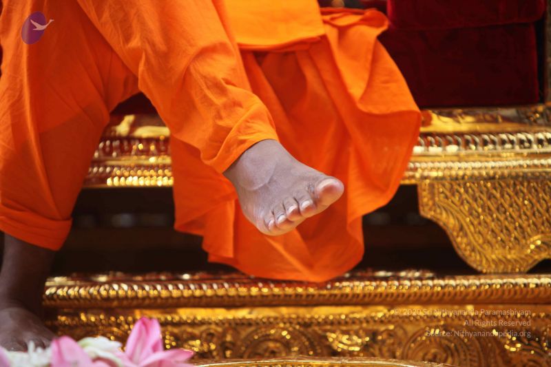 File:20101102 Photo 1171 1GWEeW2PdImA6CxtBOJdHXpapbDc2Qieb.JPG