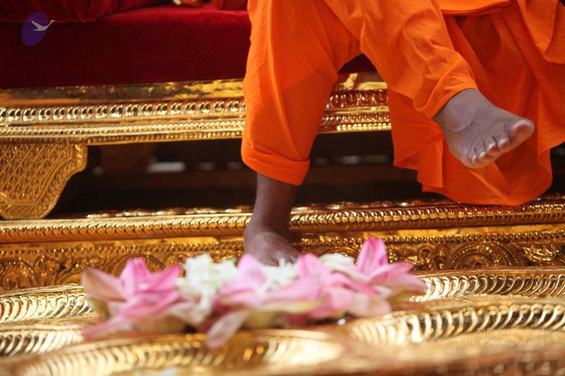 File:20101102 Photo 1172 1zpLAfs3khhLbsyHW7s674skbv84-DP0J.JPG