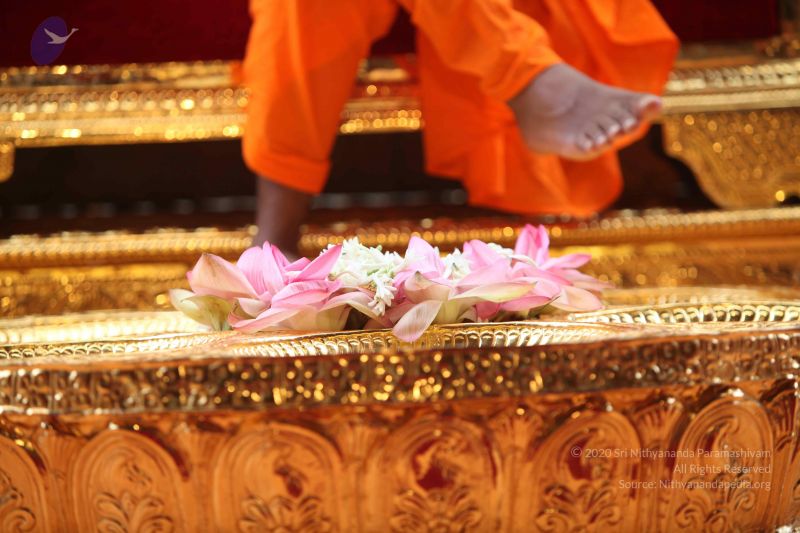 File:20101102 Photo 1185 1ZTU oia6hediSDD4LXJ6xEugEoTMA2Z4.JPG