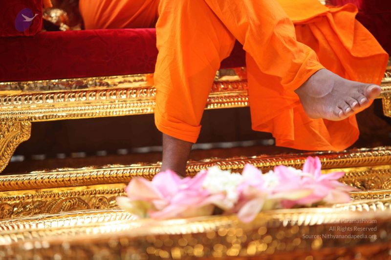 File:20101102 Photo 1186 14MDevtlGN897BVSV9wdUAypKbBMjPLyM.JPG