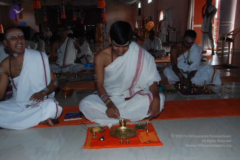 File:20101105 Photo 1001 1dZvB8pPCx6A94slzV8H-o10gYPckXBH2.JPG