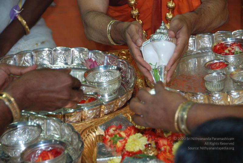 File:20101105 Photo 1041 14u4MQ4UyAcOYBWhQaFEvIeQROK8SkEfT.JPG