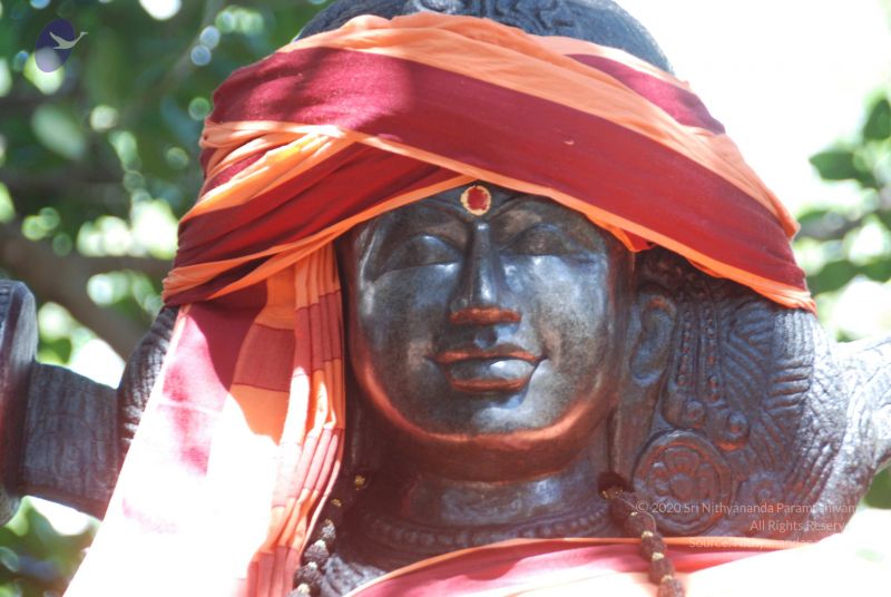 File:20101105 Photo 1181 1XDsbjvVubq7WQWCLJlPfqF-wXl3N1iqM.JPG