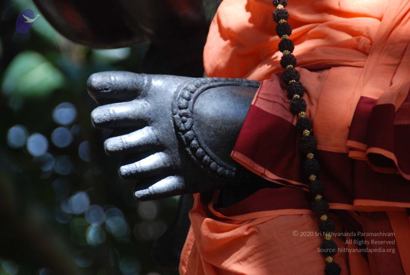 File:20101105 Photo 1184 1aZgFFFDwPfbZnrdvRRNxtSRPXy4zLHnc.JPG