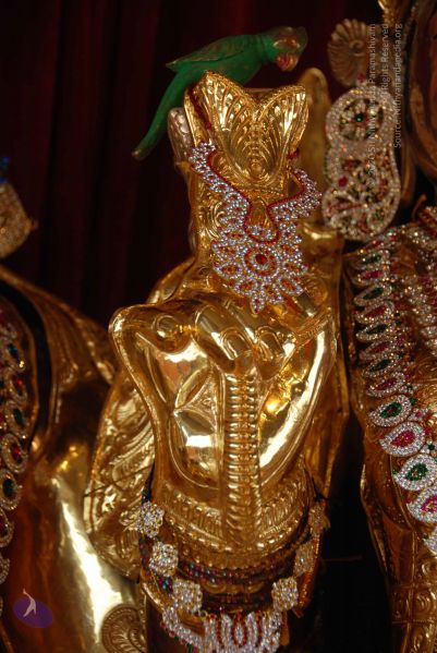 File:20101105 Photo 1208 1b8V y8B4IOvi5epsya49I3yYvWhTyZzc.JPG