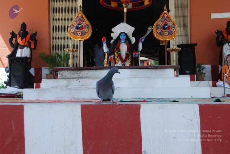 File:20101105 Photo 1226 1nfK7wd6FnjZzWNCN7rt9JWlBdVYTDzqK.JPG