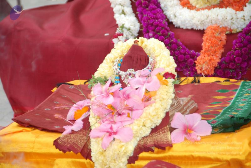 File:20101105 Photo 1234 19H6Td7cKWxYYzQlMzEm2oD8L foh5XPm.JPG