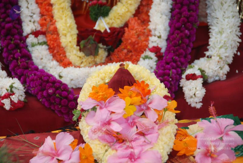 File:20101105 Photo 1243 1HHkPPEdVsHtqQSq1904dxS4o4fyxFAr7.JPG