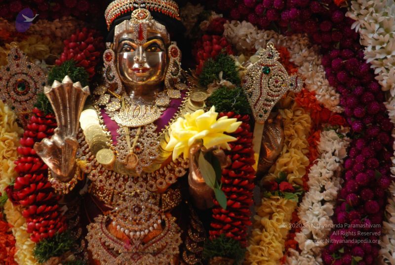 File:20101105 Photo 1254 1te5c3Bokigc0a6LzmdFAP6Lw8PLB1jeB.JPG