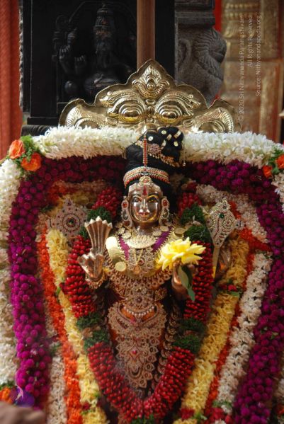 File:20101105 Photo 1265 1TV0qCEb5aQK8QnG5UUDko0AM4Yi3txUQ.JPG