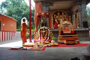 20101105 Photo 1281 1pbSMsCiH4bhyhR3D2pocxdV2PxwGs4xO.JPG