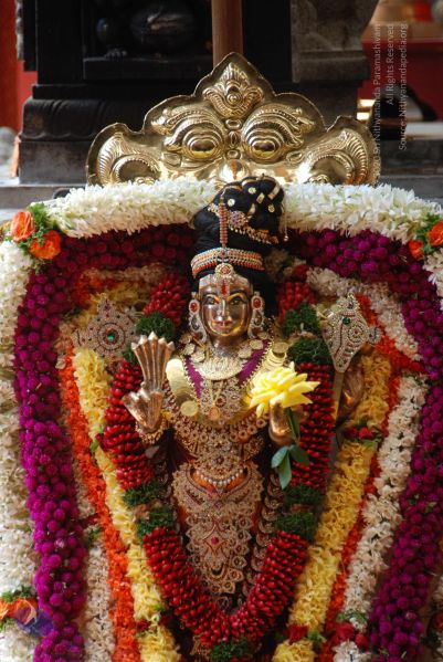 File:20101105 Photo 1307 17y3phn8CHA70QZtNMeiG9sAF72trwQCm.JPG