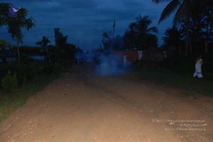 20101105 Photo 1355 1xuujJecsZ5xg0AZaEkhQT3Qq5t RPeTN.JPG