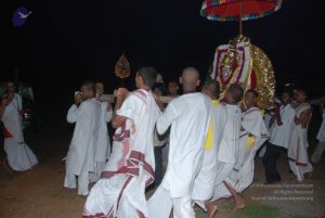 20101105 Photo 1397 1YpLADI4tNtE8pnR5bITXKNj0BKR9fWhg.JPG