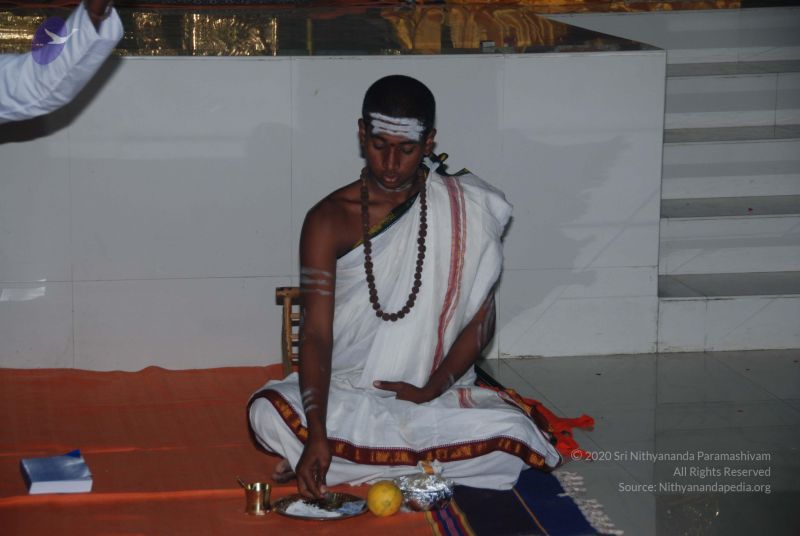 File:20101105 Photo 1510 1TC4KTwD7Yv8IEIGySSjOyQuExd6TST-X.JPG