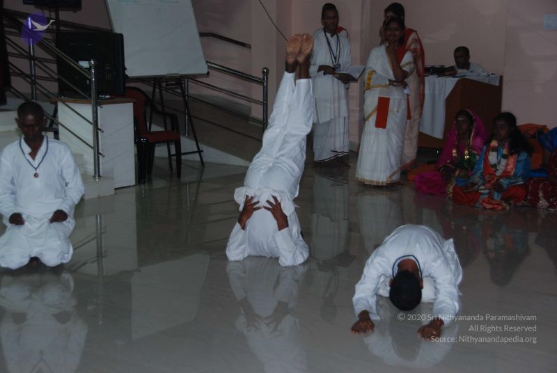 File:20101105 Photo 1544 1n2Z5KCe3NYhCJsS5PK-UV2vavBmkP4iD.JPG