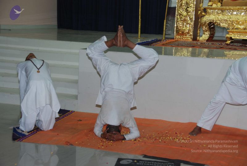 File:20101105 Photo 1550 1uuVHLLCV35MeW7wKRFT8Hw2us8X AYin.JPG