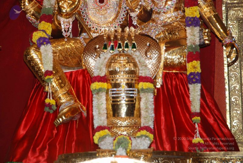 File:20101105 Photo 1572 1FfpdTG31 Cv9CSNu vJmdc-rQbAQ37GJ.JPG