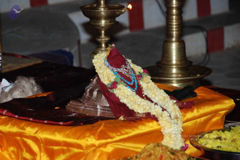 File:20101105 Photo 1601 1lZGRJ84tYGw68mQgXGrnzHWoyS7cWj7l.JPG