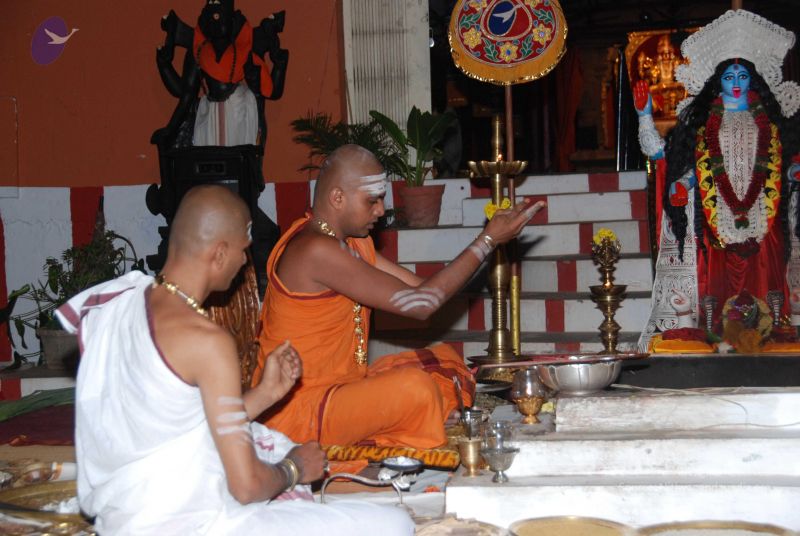 File:20101105 Photo 1611 1CCJE7E4TPH95pcPGoRILqsME9-aYiXGB.JPG