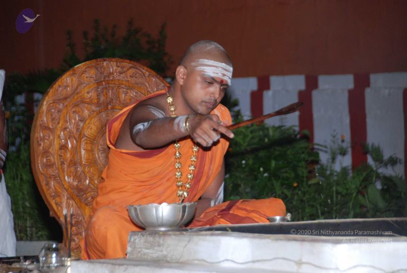 File:20101105 Photo 1613 1kr2go-CvNMvb a8PrDEddXBb0-dNQWha.JPG