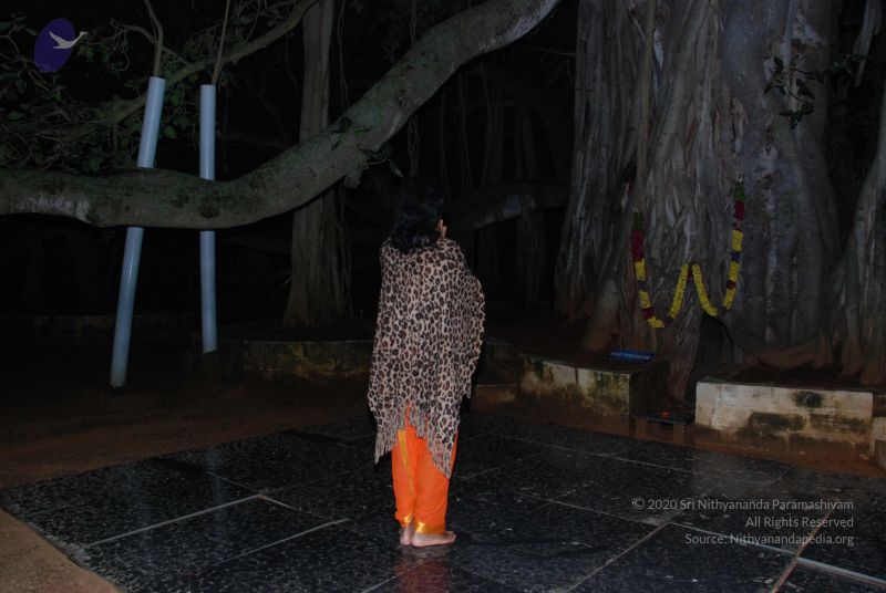 File:20101105 Photo 1633 1Jjp8GfyG0E7a7C7UKNv7 gf0jDflHJQ5.JPG