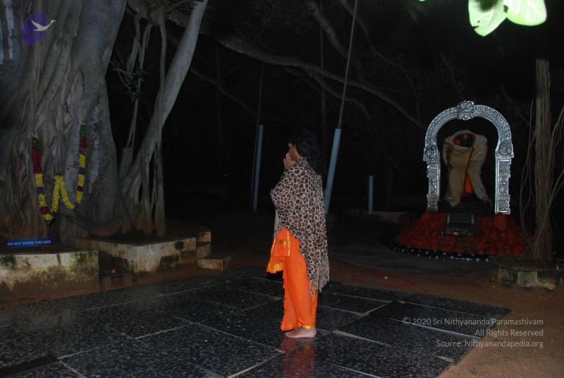 File:20101105 Photo 1634 1zgkq6purc96prtkOoSrrkWGSGhfKKUg8.JPG