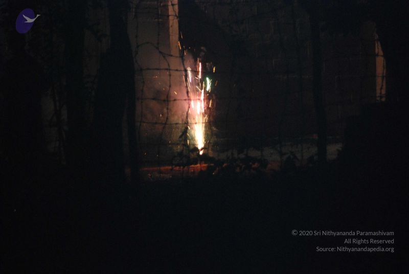 File:20101105 Photo 1667 1pcLG2IGpKLMJ3XUSy9hxpX6T3lKx9612.JPG