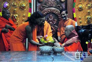 20101107 DSC 8854 CMP WM111.jpg