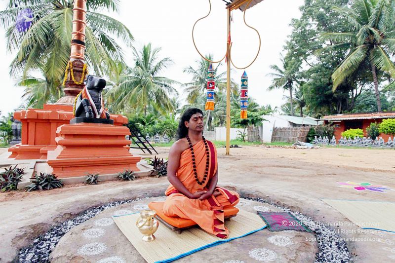 File:20101107 IMG 0342 CMP WM111.jpg