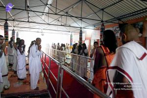 20101107 IMG 0377 CMP WM111.jpg