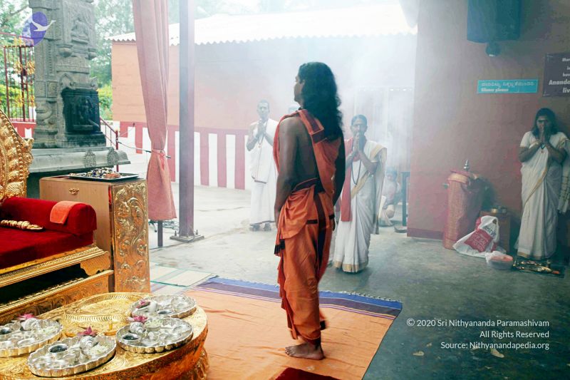 File:20101107 IMG 0379 CMP WM111.jpg