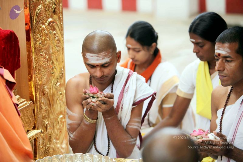 File:20101107 IMG 0426 CMP WM111.jpg