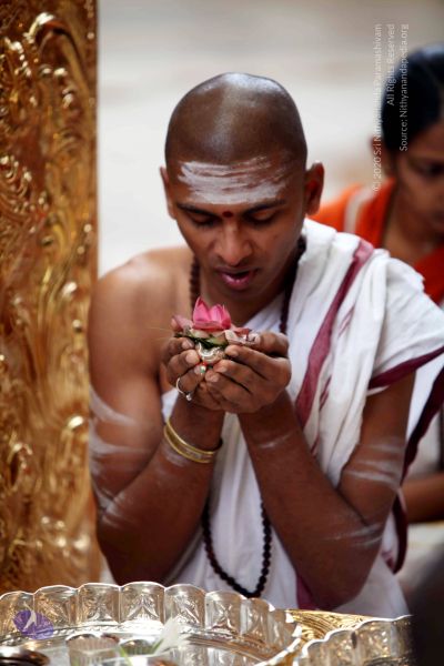 File:20101107 IMG 0427 CMP WM111.jpg