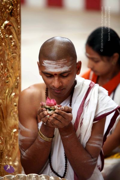 File:20101107 IMG 0428 CMP WM111.jpg