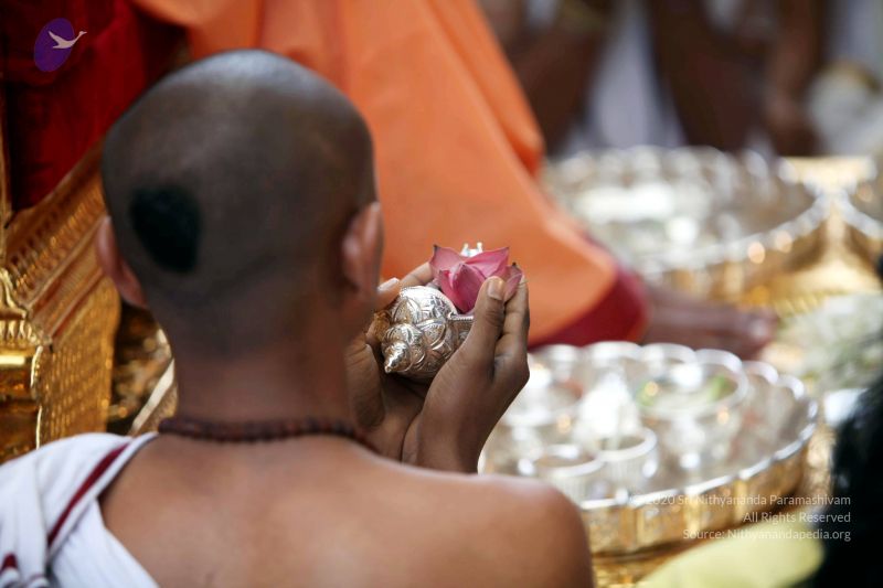 File:20101107 IMG 0430 CMP WM111.jpg