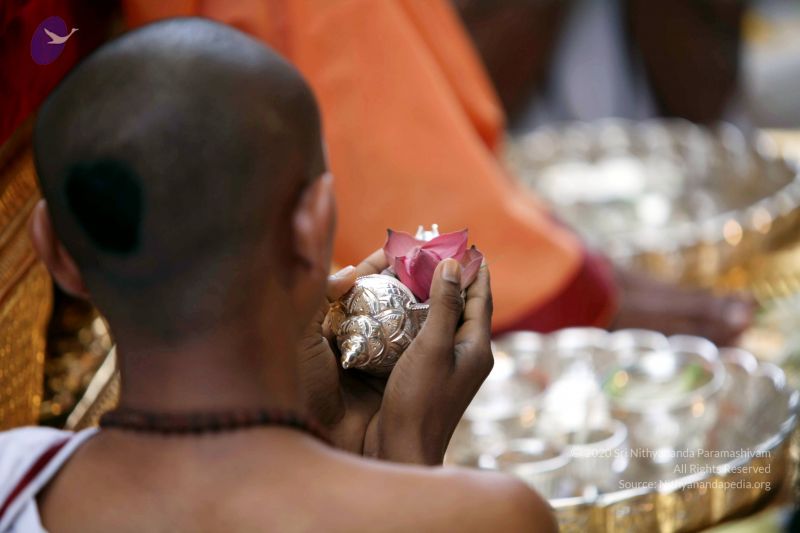 File:20101107 IMG 0431 CMP WM111.jpg