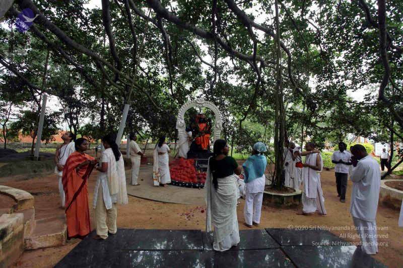 File:20101107 IMG 0685 CMP WM111.jpg