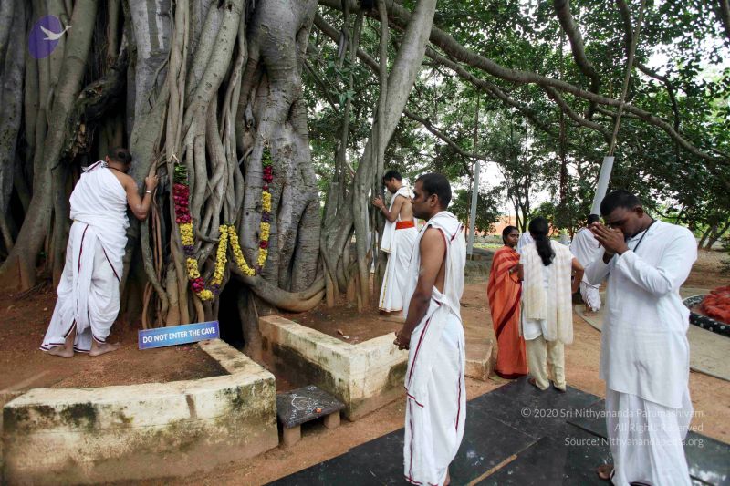 File:20101107 IMG 0689 CMP WM111.jpg