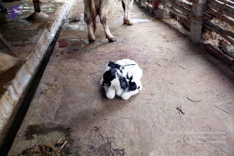 File:20101107 IMG 0707 CMP WM111.jpg