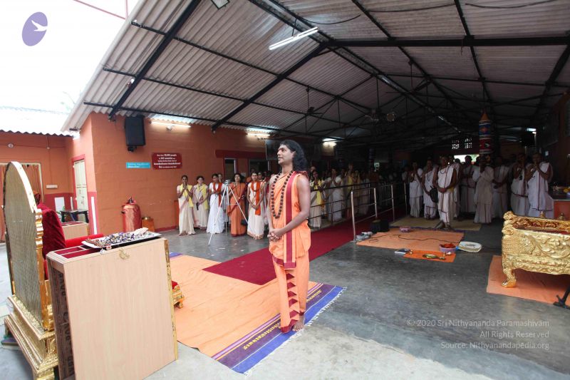 File:20101107 Photo 1017 1U6RPIb7VYmXh4oQsu15AVwZEffzL7HfG.JPG