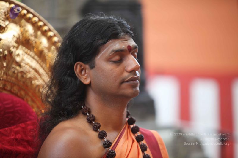 File:20101107 Photo 1097 1sBiFaOGjbvedNXpyMs7ihHB75SSiDnoy.JPG